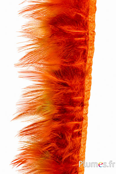 Franje Goudfazant - ver.-l. 6-8 cm - azteeksgoud